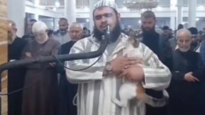 Η γάτα που έγινε viral επειδή πήδηξε πάνω σε ιμάμη που προσευχόταν (vid)