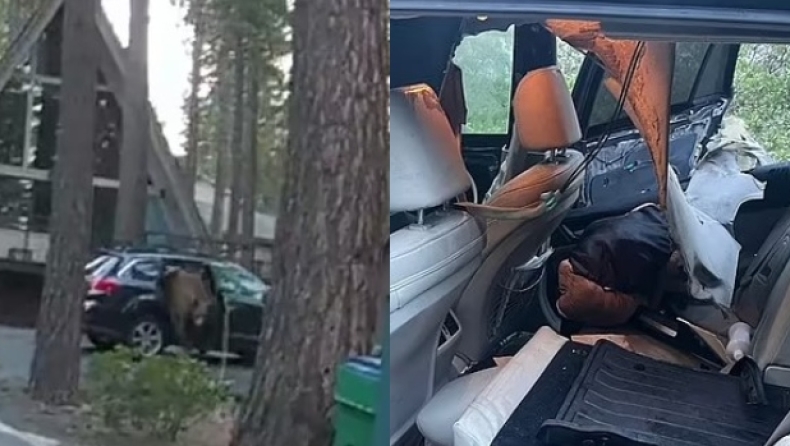Η στιγμή που αστυνομικοί ελευθερώνουν αρκούδα που είχε εγκλωβιστεί σε αυτοκίνητο (vid)