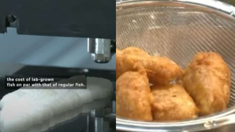 Η βιοτεχνολογία σε άλλο επίπεδο: Μαγείρεψαν και σέρβιραν... 3D ψάρι (vid)