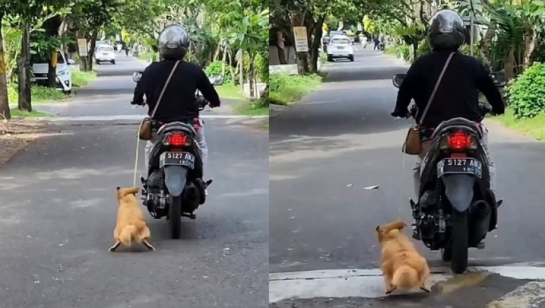 Αβοήθητο σκυλί σέρνεται από τον ιδιοκτήτη του ενώ εκείνος βρίσκεται πάνω στην μοτοσικλέτα του (vid)