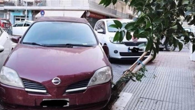Πάρκαρε το αυτοκίνητό του πάνω σε κορμό δέντρου και τον μήνυσε ο δήμος Θεσσαλονίκης 