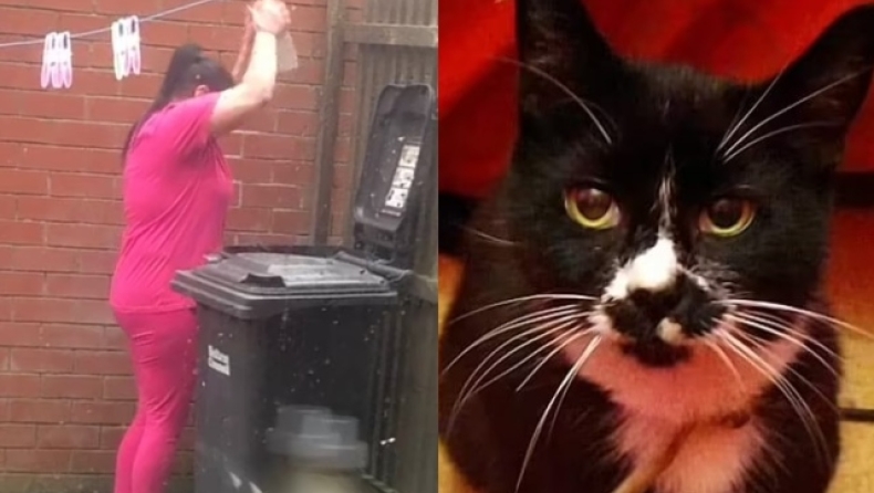 Η φρικτή στιγμή που 48χρονη προσπάθησε να σκοτώσει γάτα με τούβλο: «Προσπάθησα να την απαλλάξω από τη δυστυχία της» (vid)