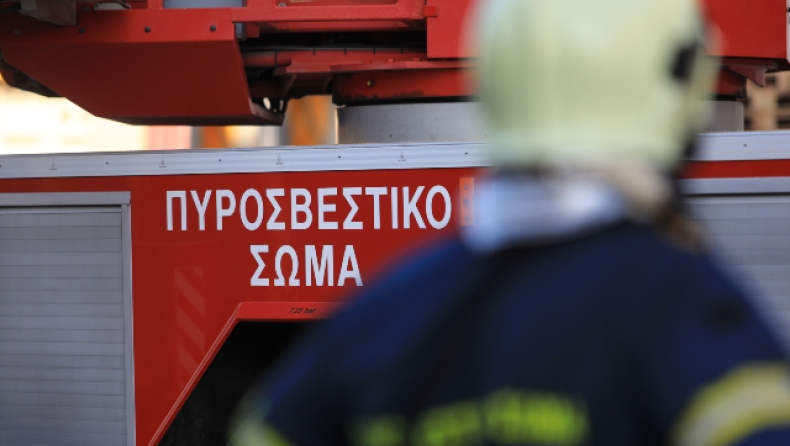 Τραγική κατάληξη για αγνοούμενο πυροσβέστη στην Εύβοια: Τον κατασπάραξαν αγριογούρουνα