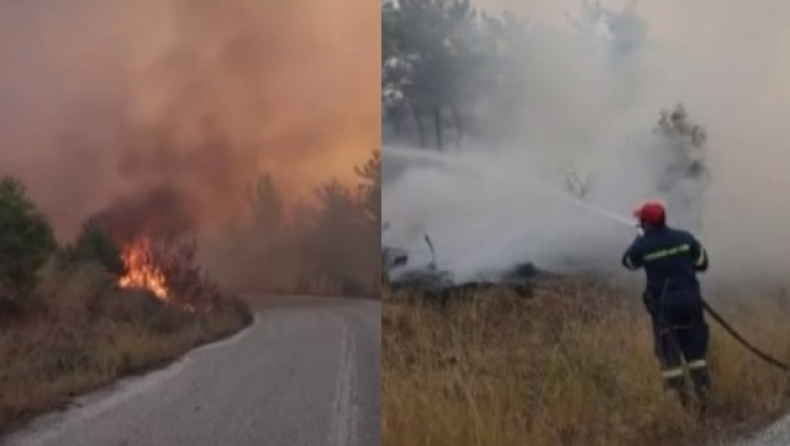 Με δέσμευση των περιουσιακών τους στοιχείων κινδυνεύουν οι εμπρηστές: Το έγγραφο του Βουρλιώτη (vid)