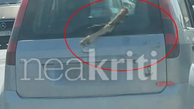 Ηράκλειο: Κυκλοφορούσε με ένα πόδι κατσίκας στο παρμπρίζ του αυτοκινήτου του