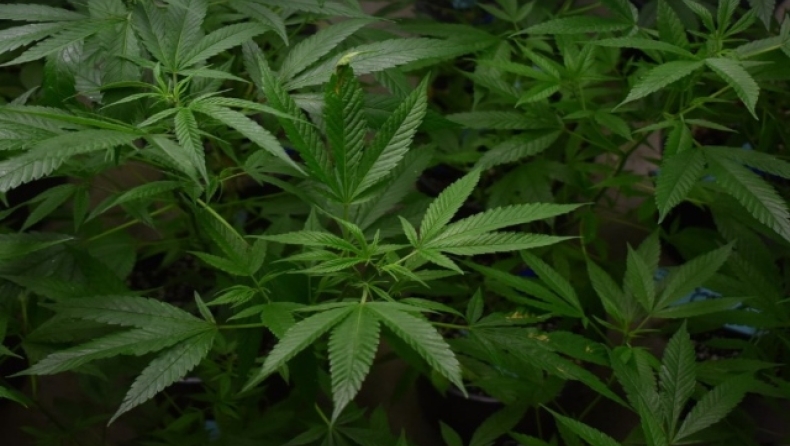 Στο Top 10 των πόλεων με τη μεγαλύτερη χρήση κάνναβης η Αθήνα!