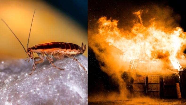 Ιαπωνία: Τύπος ανατίναξε το σπίτι του προσπαθώντας να σκοτώσει κατσαρίδα! 