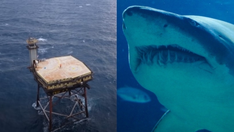 Το πιο επικίνδυνο ξενοδοχείο στον κόσμο: Είναι προσβάσιμο μόνο με ελικόπτερο και περιτριγυρίζεται από καρχαρίες (vid)