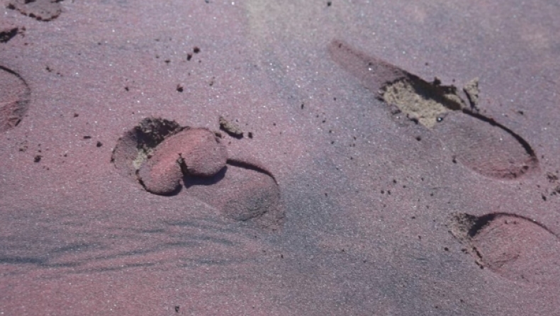 Η παραλία με τη μωβ άμμο: Το μυστήριο της φύσης που έχει μείνει αναπάντητο από τους επιστήμονες (vid)