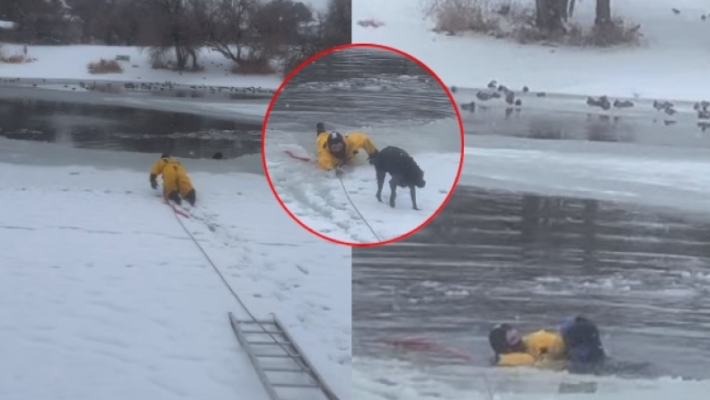 Η συγκλονιστική στιγμή που πυροσβέστες σώζουν σκύλο που είχε παγιδευτεί σε παγωμένη λίμνη (vid)