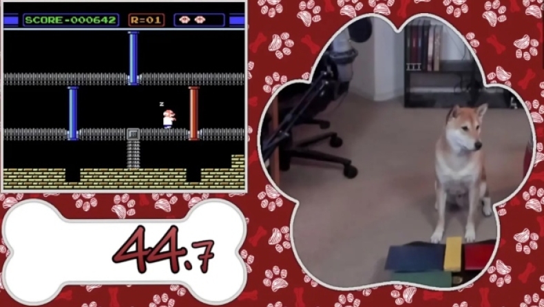 Απίθανος σκύλος κατάφερε να τερματίσει βιντεοπαιχνίδι και έκανε παγκόσμιο ρεκόρ (vid)