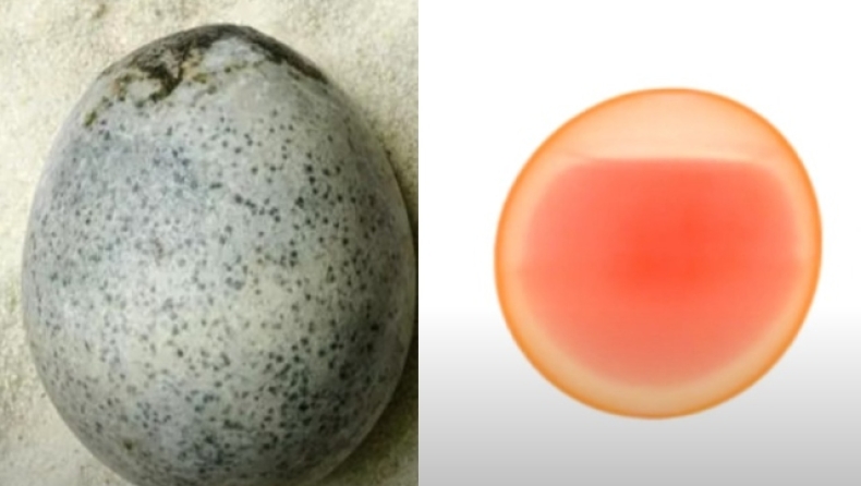 Ανακαλύφθηκε αβγό 1.700 ετών με άθικτο το ασπράδι και τον κρόκο του (vid)