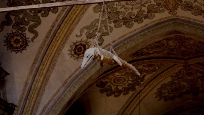 Η ιστορία πίσω από τον κροκόδειλο που κρεμιέται από οροφή εκκλησίας: Το απόκοσμο θέαμα και ο συμβολισμός του (vid)