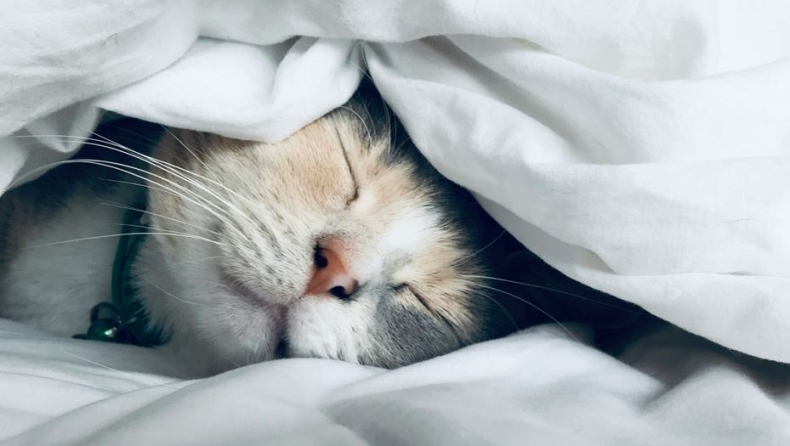  Paradoxical Intention: Πώς να ξεγελάσεις το μυαλό σου για να νομίζει ότι νυστάζεις