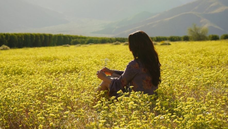 Τελικά, τα χρήματα φέρνουν την ευτυχία; Νέα μελέτη απαντά