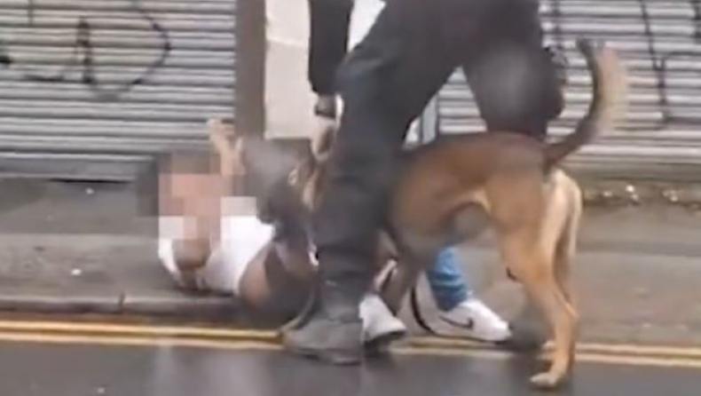 Ασύλληπτο περιστατικό βίας: Αστυνομικός αφήνει σκύλο να κατεβάσει το παντελόνι υπόπτου που είναι ανήμπορος στο έδαφος (vid)