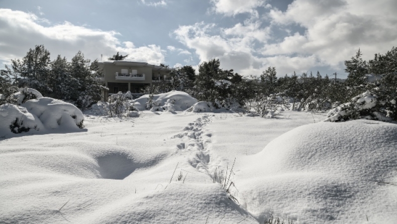 «Ο Μάρτης που ήταν γδάρτης»: Όταν πολικές αέριες μάζες παρέλυσαν την Ελλάδα