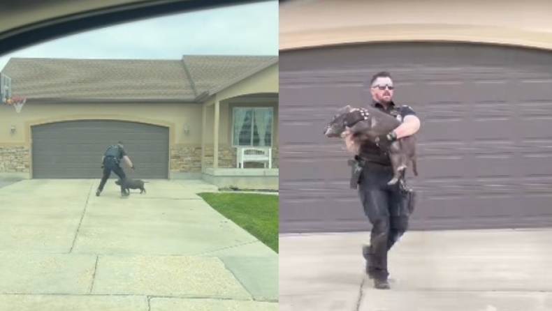 Αστυνομικός πήρε στο κυνήγι ένα γουρούνι: Το βίντεο που έγινε viral (vid)