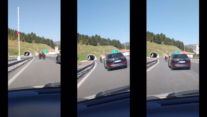 Εγνατία Οδός: Τα άλογα βγήκαν... τσάρκα (vid)