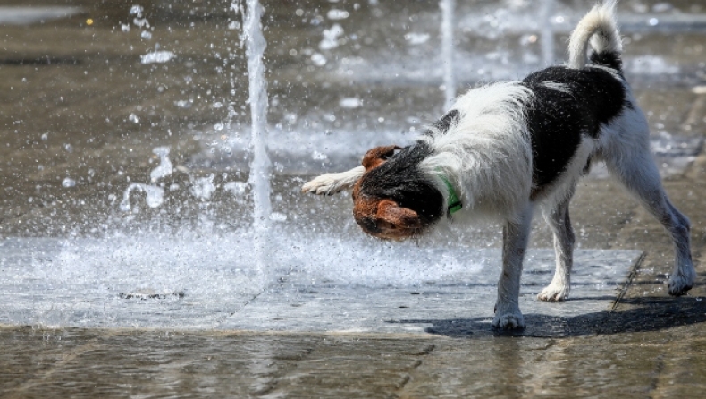 Απαισιόδοξοι οι μετεωρολόγοι για το καλοκαίρι του 2024: «Θα πρέπει να συνηθίσουμε πλέον τη νέα κανονικότητα» (vid)