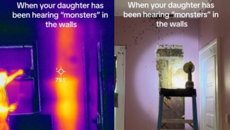 Άφωνη έμεινε μητέρα με αυτό που ανακάλυψε στο δωμάτιο του παιδιού της: Σμήνος 50.000 μελισσών είχε φωλιάσει στους τοίχους (vid)