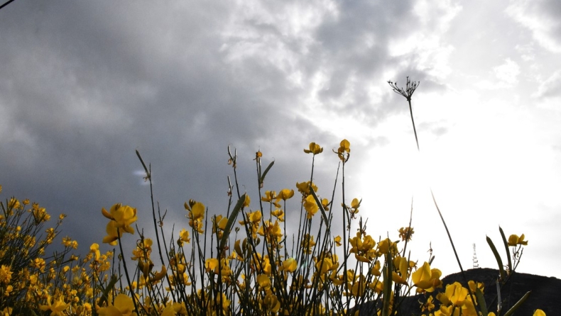 Κολυδάς: «Καιρός με "δυο πρόσωπα" θα χωρίζει τη χώρα στα δύο» (vid)
