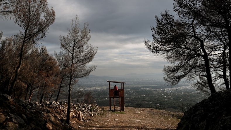 Νεαροί στην Πάρνηθα μαχαίρωσαν εθελοντές που καθάριζαν την περιοχή: Φώναζαν «κάναμε Comeback»