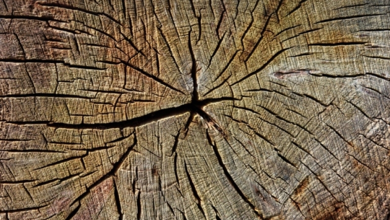 Αρχαία κομμάτια ξύλου αποδεικνύουν ότι οι πρόγονοί μας ήταν πιο έξυπνοι από ό,τι πιστεύουμε