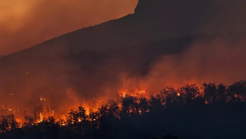 Δασικές πυρκαγιές: Γιατί είναι συχνότερες και μεγαλύτερες παγκοσμίως;