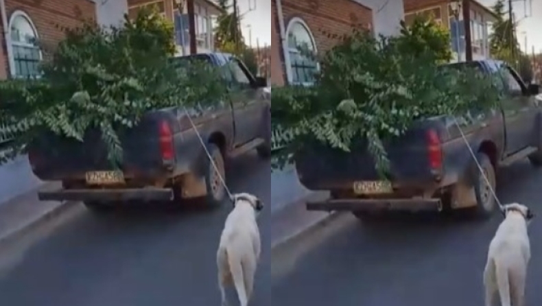 Οργή στην Κοζάνη: Έδεσε τον σκύλο με σχοινί στο αγροτικό και τον έσερνε (vid) 