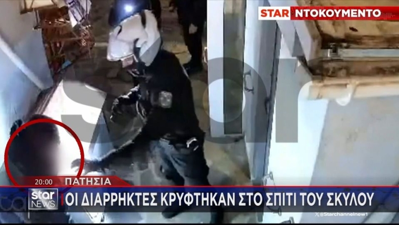 Καρέ-καρέ η στιγμή της σύλληψης διαρρηκτών: Είχαν κρυφτεί πίσω από το σπίτι του σκύλου, αλλά προεξείχε ο σκούφος του ενός (vid)