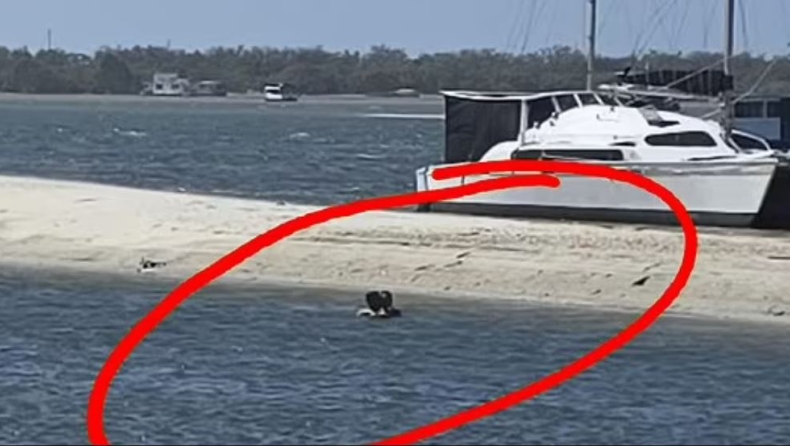 Ασυγκράτητο ζευγάρι εθεάθη να ερωτοτροπεί σε λίμνη και στη συνέχεια ζήτησε λεφτά από τους αυτόπτες μάρτυρες