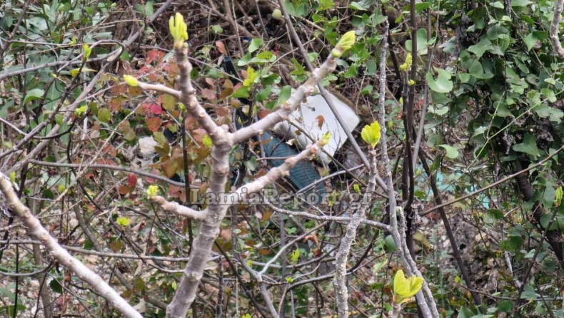 Ράλλυ Σπριντ Μπράλος: Στον γκρεμό έπεσε αγωνιστικό, καλά στην υγεία του το πλήρωμα
