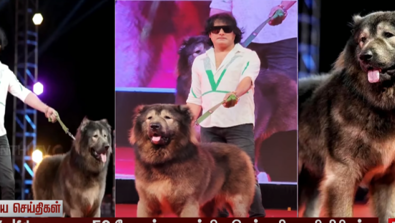 Η πιο σπάνια ράτσα σκύλου: Πωλείται για περισσότερα από 5,8 εκατομμύρια ευρώ (vid)