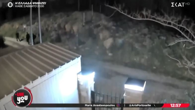 Διαρρήκτες έπεσαν πάνω σε σκυλιά και τα «έκαναν» πάνω τους: Μπούκαραν σε άλλο σπίτι (vid)