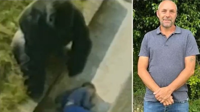 Η ιστορία του 5χρονου αγοριού που είχε πέσει στο κλουβί γορίλα: «Διαμόρφωσε τη ζωή μου» (vid)