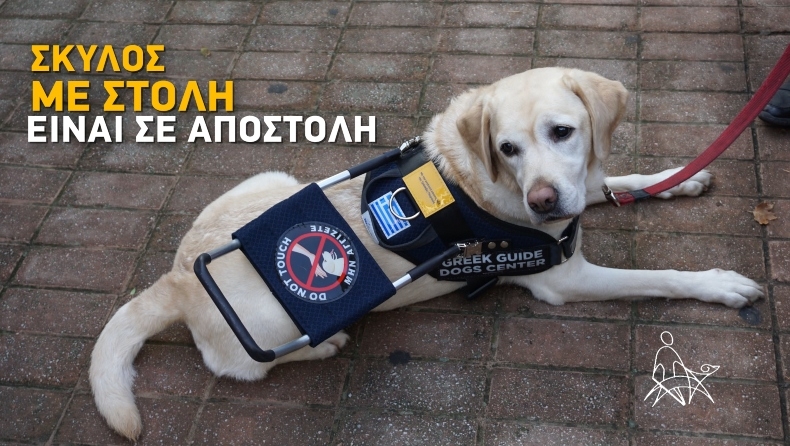 Ο Σκύλος Οδηγός είναι ο πολύτιμος σύντροφος και ακούραστος συνεργάτης του Ατόμου με Αναπηρία Όρασης