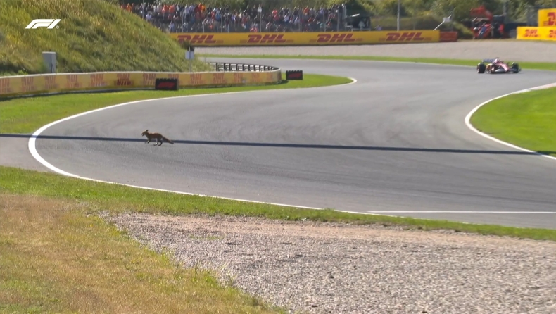 F1 - Λεκλέρ: «Υπάρχει μία αλεπού μέσα στην πίστα!» (vid)