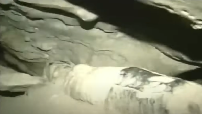 Η ανατριχιαστική ιστορία πατέρα που δεν μπόρεσαν να σώσουν ποτέ: Ήταν 27 ώρες παγιδευμένος σε πέρασμα 10 εκατοστών (vid)