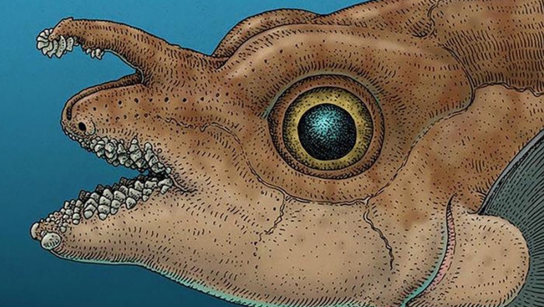 Ψάρι-αρουραίος με δόντια στο μέτωπο για σεξουαλική επαφή