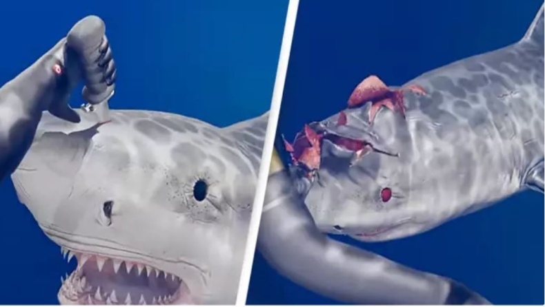 Βίντεο προσομοίωσης δείχνει πως λειτουργεί το «πιο θανατηφόρο μαχαίρι στον κόσμο» έπειτα από επίθεση καρχαρία