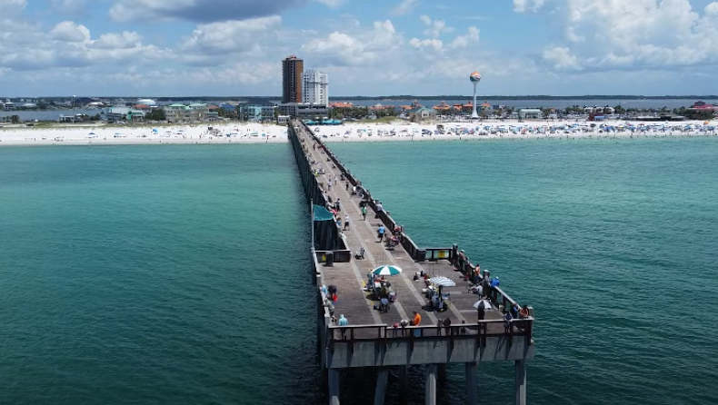 Τρόμος κάτω από το νερό: Τι κατέγραψε κάμερα σε μια από τις πιο γεμάτες καρχαρίες περιοχές της Φλόριντα; (vid)