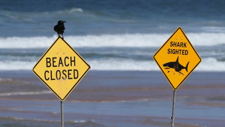 Αυστραλία: Καρχαρίας κατασπάραξε 20χρονη γυναίκα που κολυμπούσε σε απομακρυσμένη παραλία