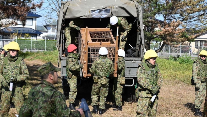 Ο «πόλεμος» της Ιαπωνίας με τις αρκούδες «δολοφόνους»: Στρατός, παγίδες και καμπάνες 