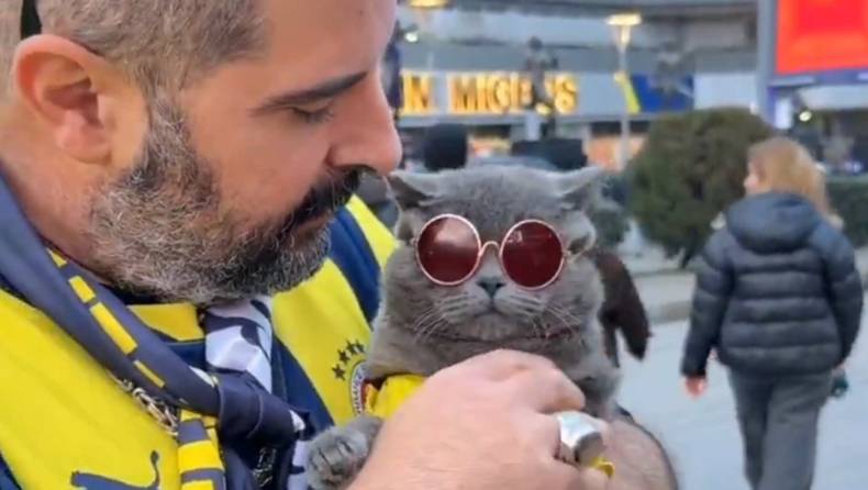 Φενέρμπαχτσε: Ο πιο viral οπαδός της είναι μια γάτα (vid)!