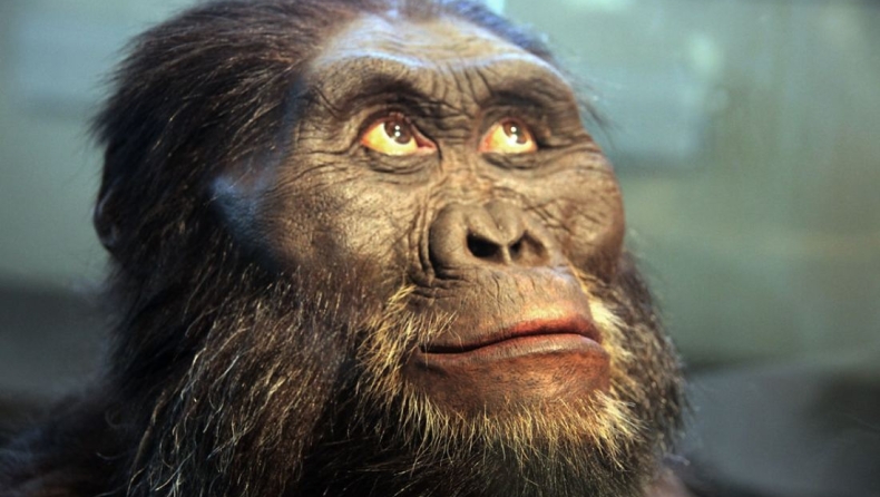 Ούτε οι πίθηκοι, ούτε οι μαϊμούδες: Ποιος θα κάνει «κουμάντο» στη Γη όταν εξαφανιστεί ο άνθρωπος