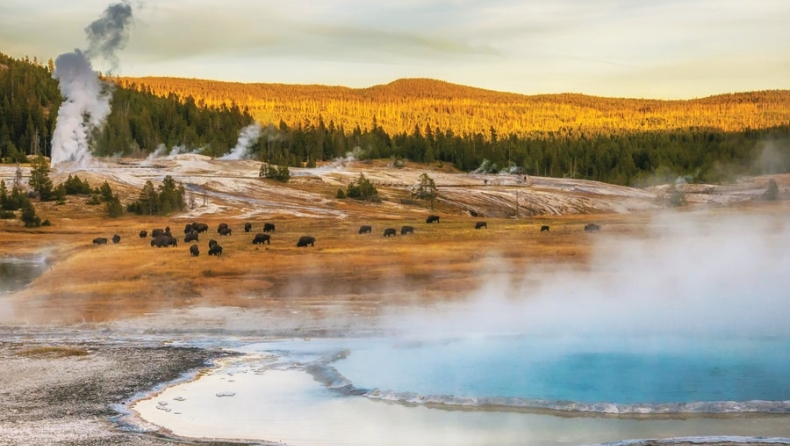 Πώς ένας σεισμός ενεργοποιεί υπόγεια μικρόβια: Νέα δεδομένα για τη ζωή κάτω από την επιφάνεια της Γης