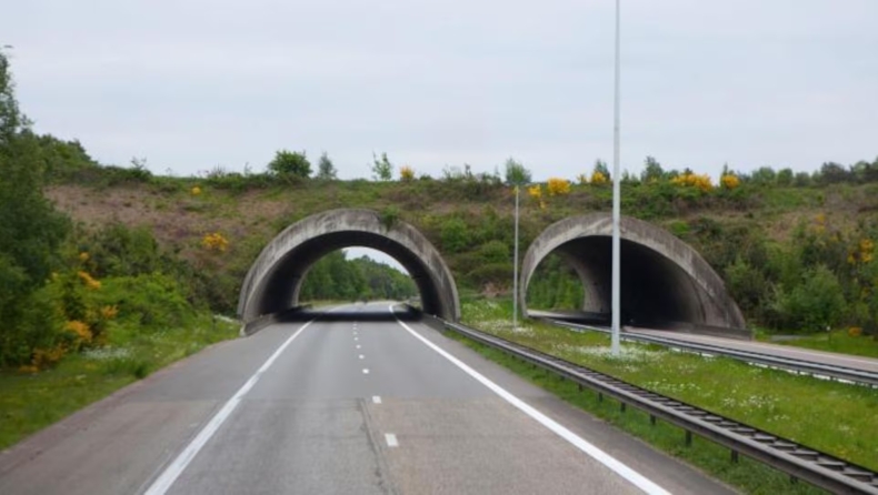 Το μεγαλύτερο κατασκευαστικό λάθος του αιώνα: Ο αυτοκινητόδρομος που δεν έχει χρησιμοποιηθεί εδώ και 12 χρόνια