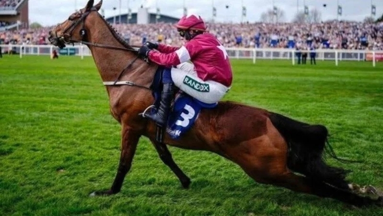 Άλογο οδηγήθηκε σε ευθανασία, στο Grand National Festival (vid)