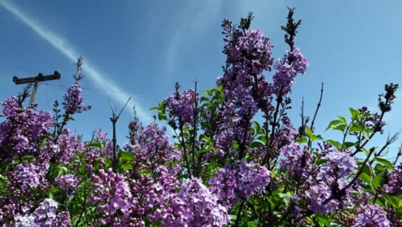 Τι καιρό θα κάνει την Μεγάλη Εβδομάδα